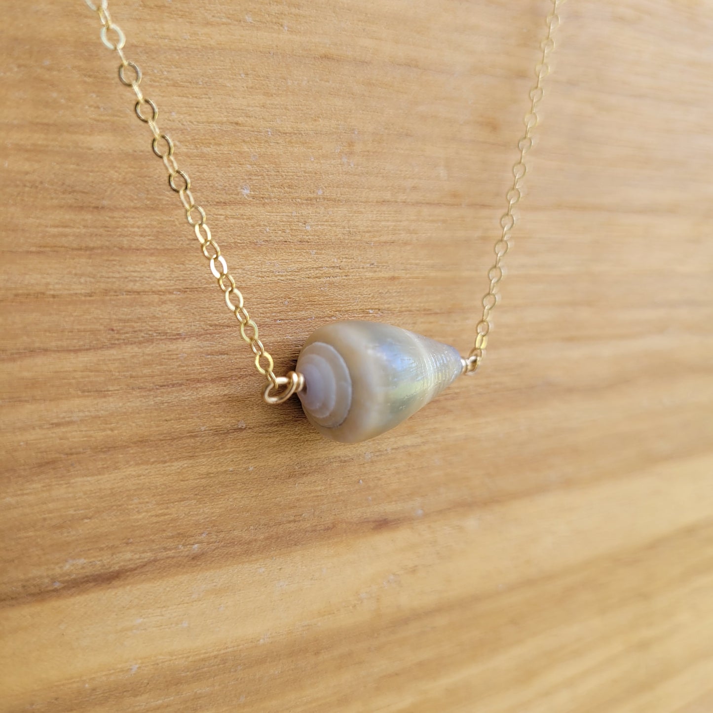 Gold Cone Shell Necklace