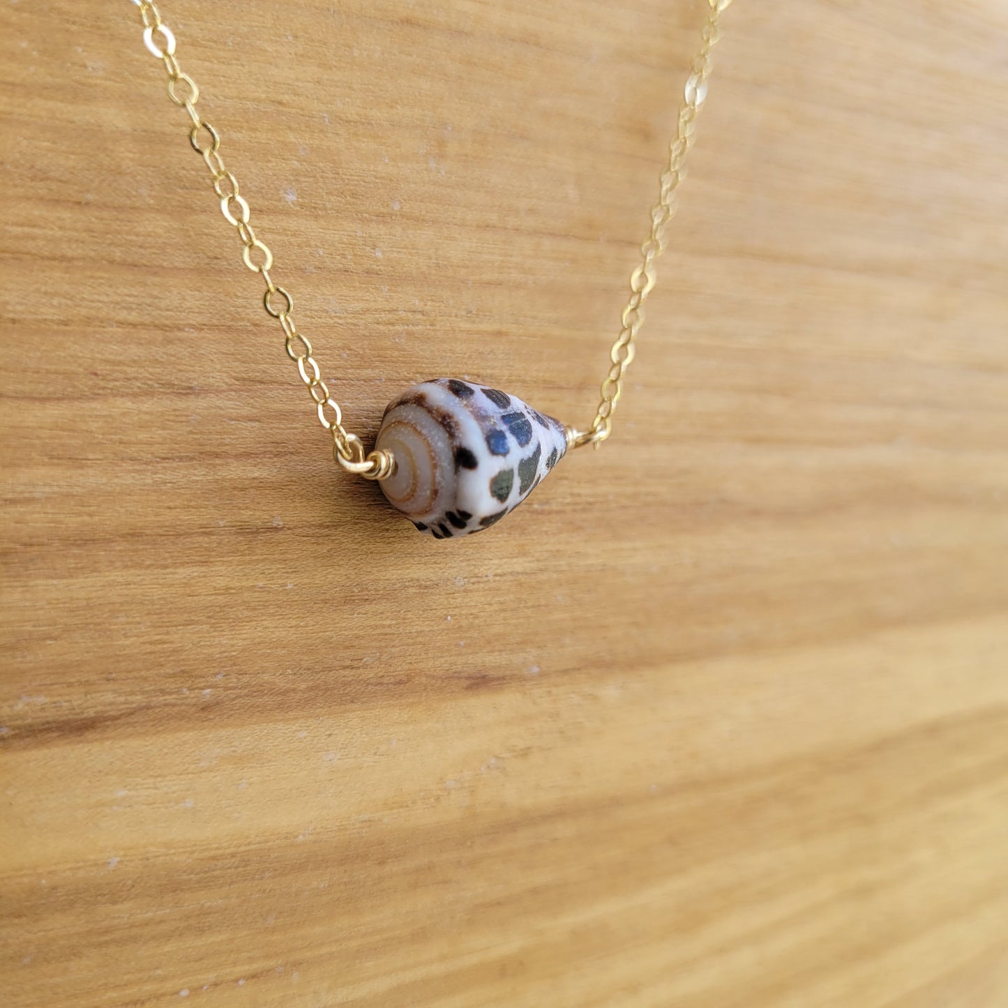 Gold Cone Shell Necklace