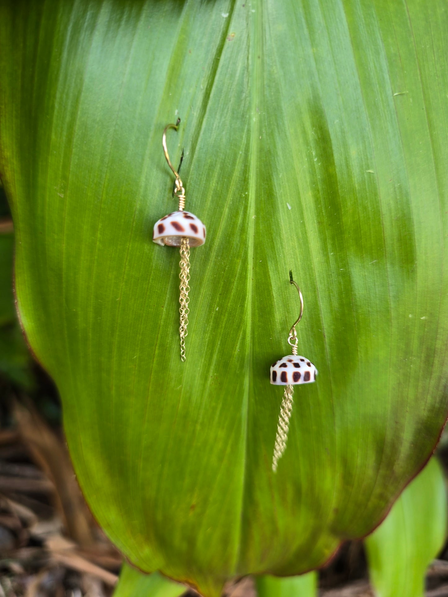 Coneshell Jellyfish earrings