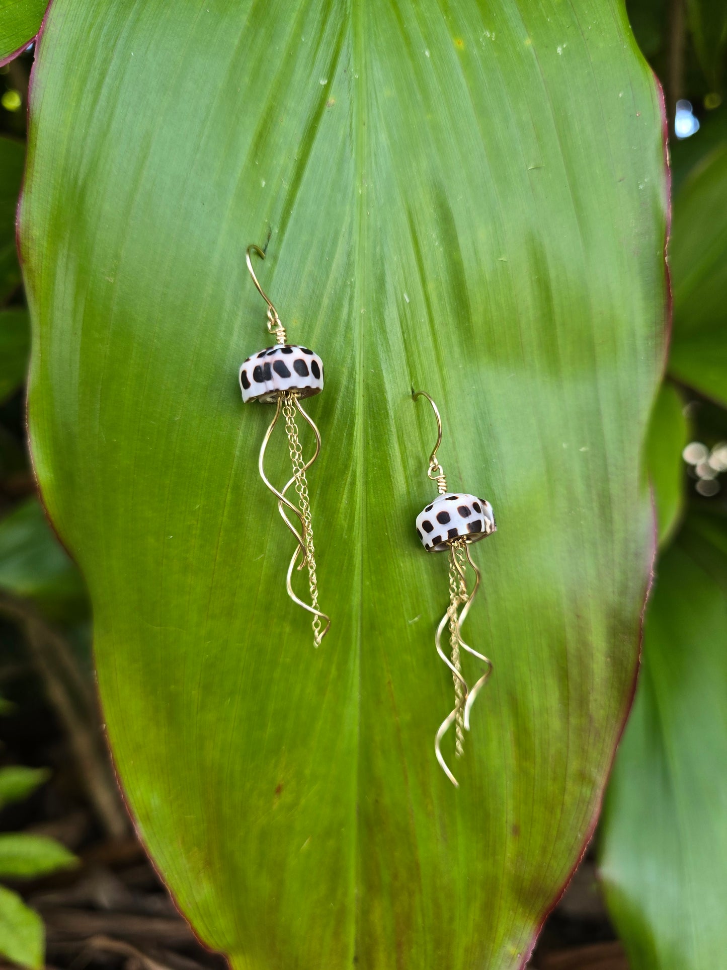 Coneshell Jellyfish earrings