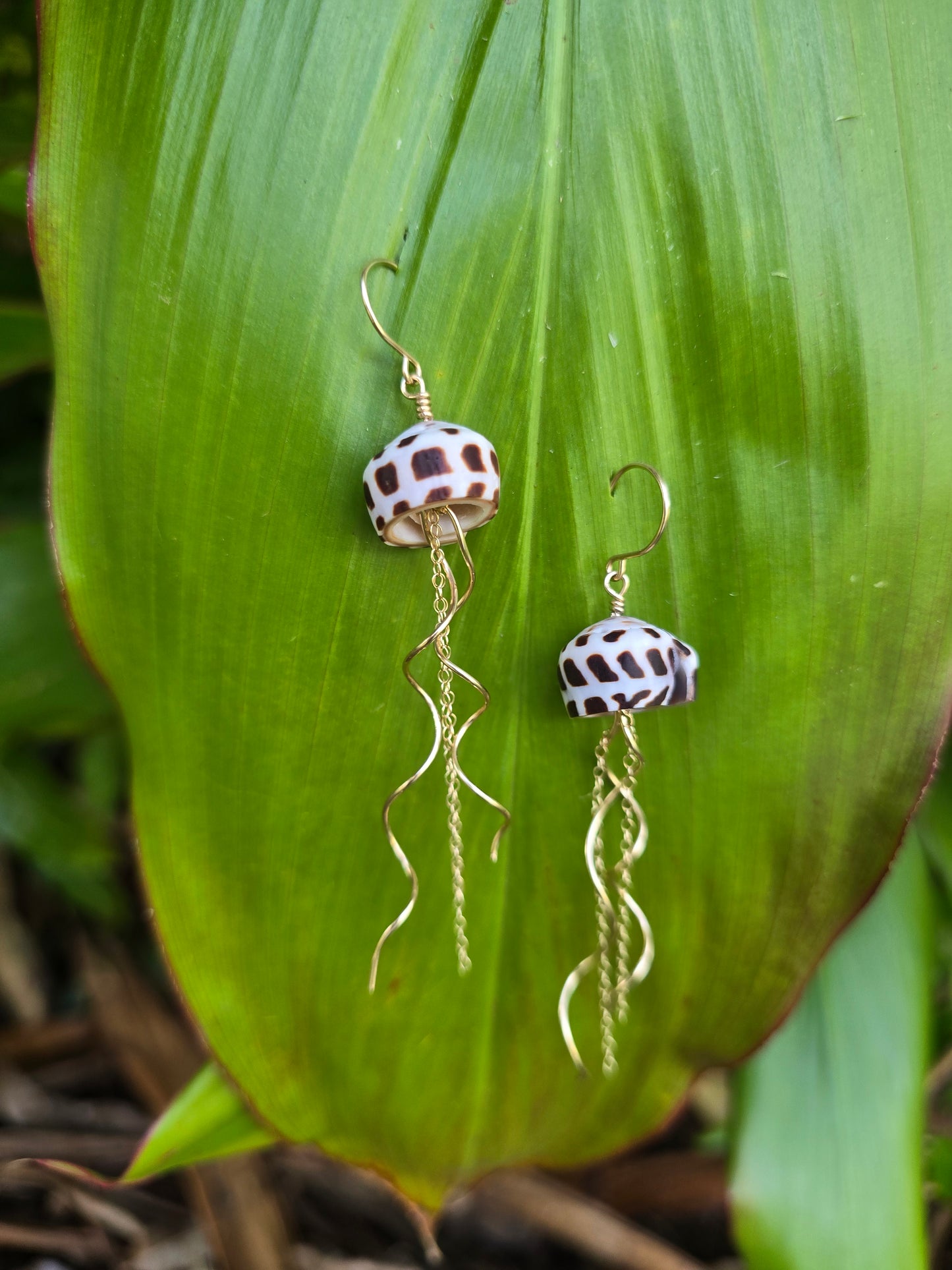 Coneshell Jellyfish earrings