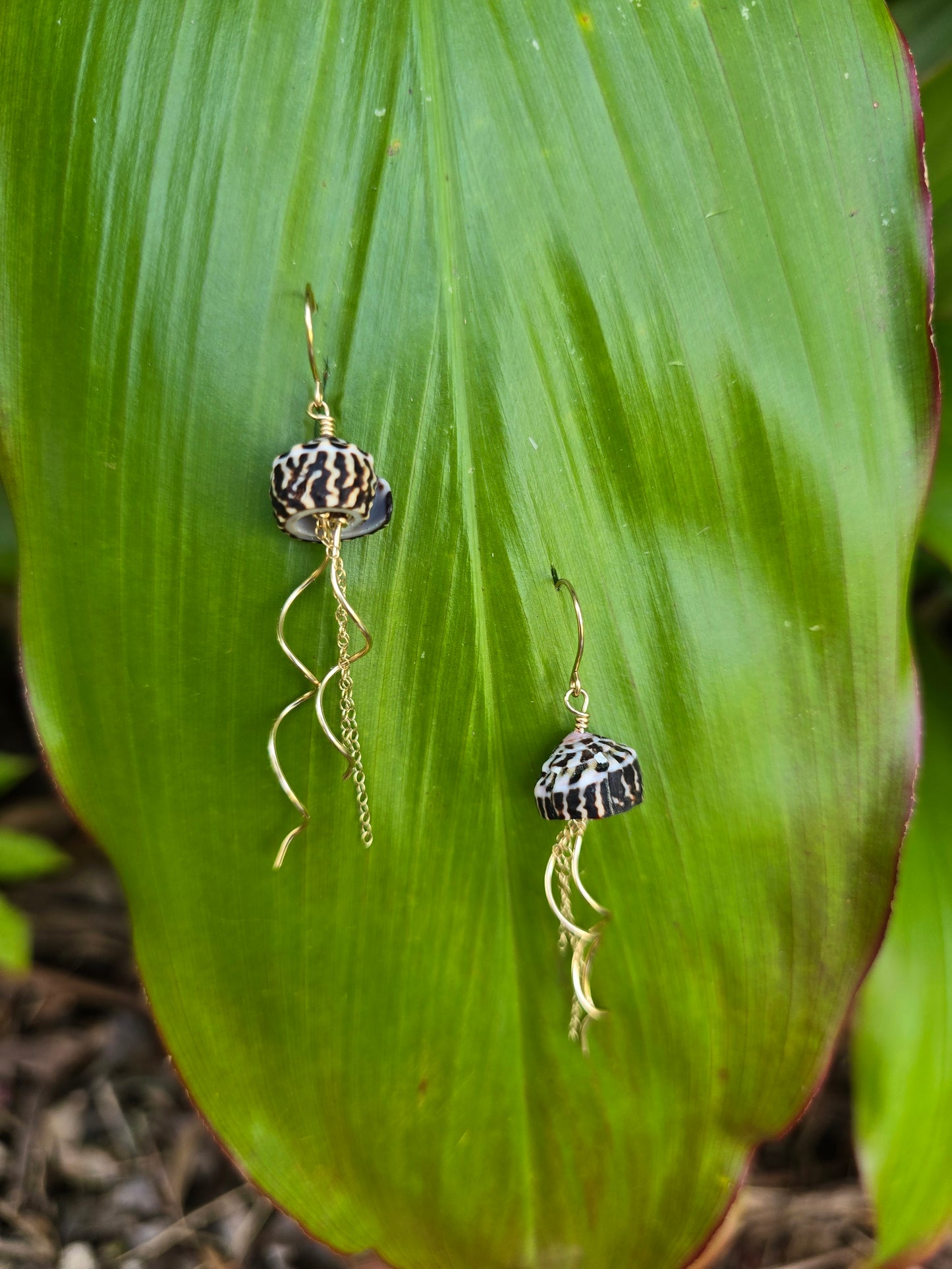 Coneshell Jellyfish earrings