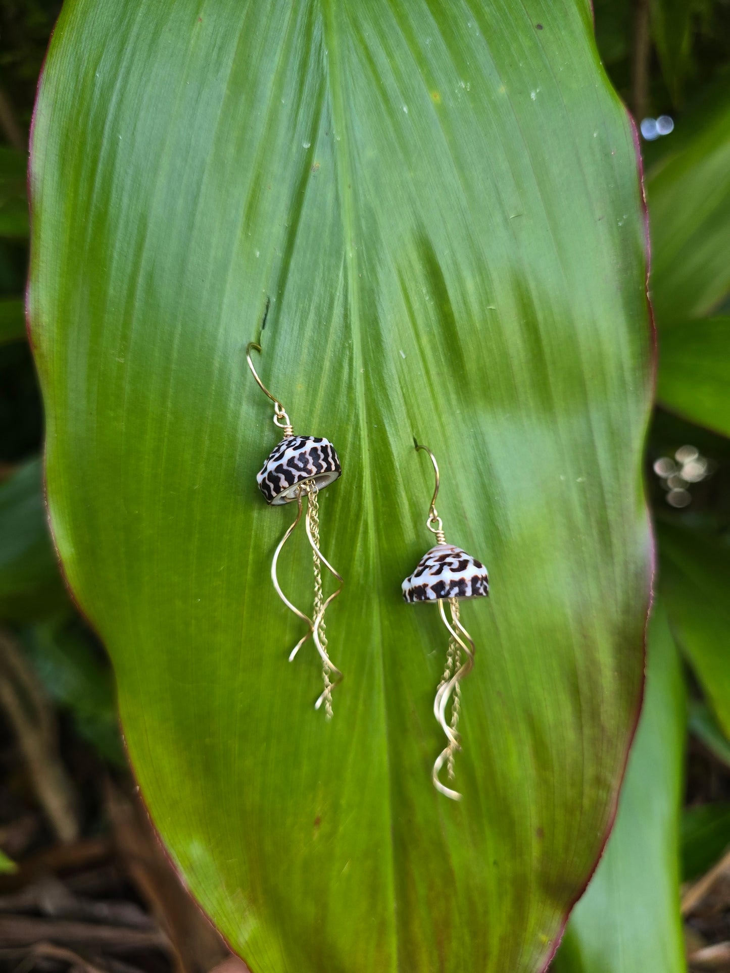 Coneshell Jellyfish earrings