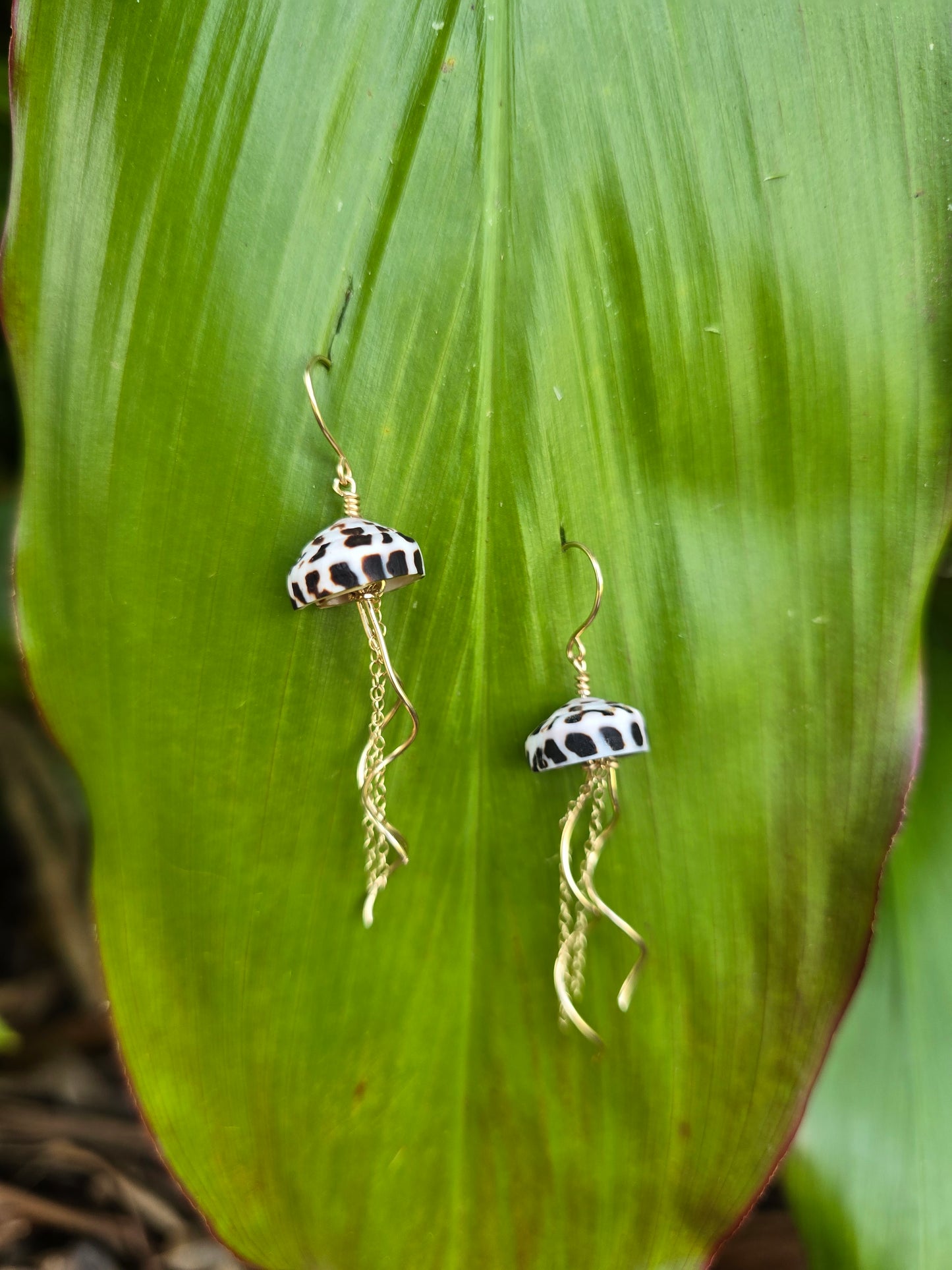 Coneshell Jellyfish earrings