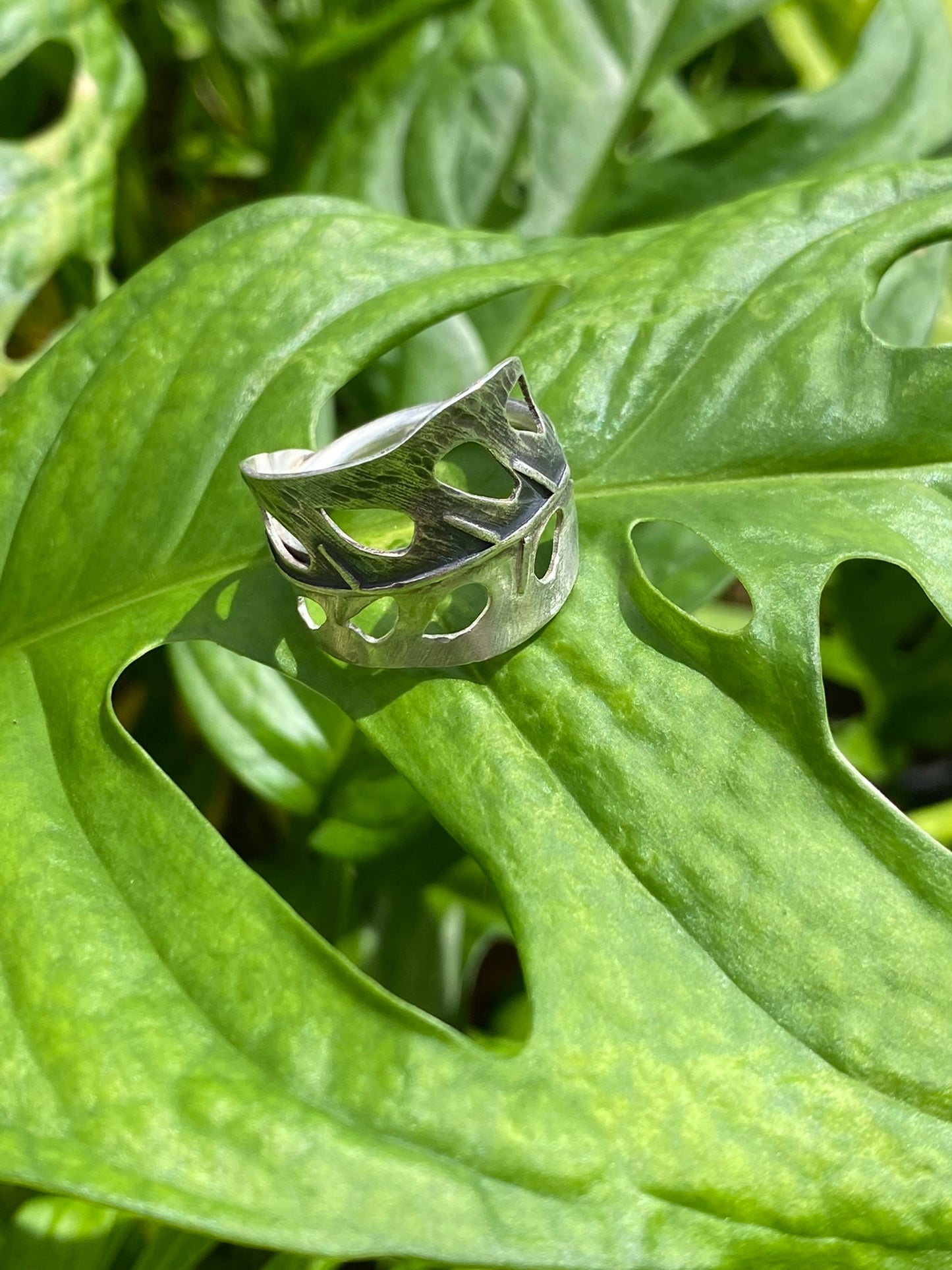 Monstera Adansonii Ring