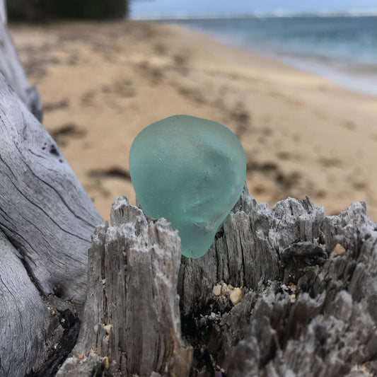 Beachcombing on Guåhan