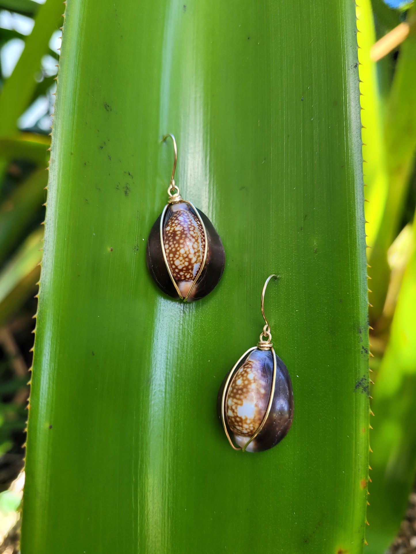 Gold Cowrie Dangle Earrings