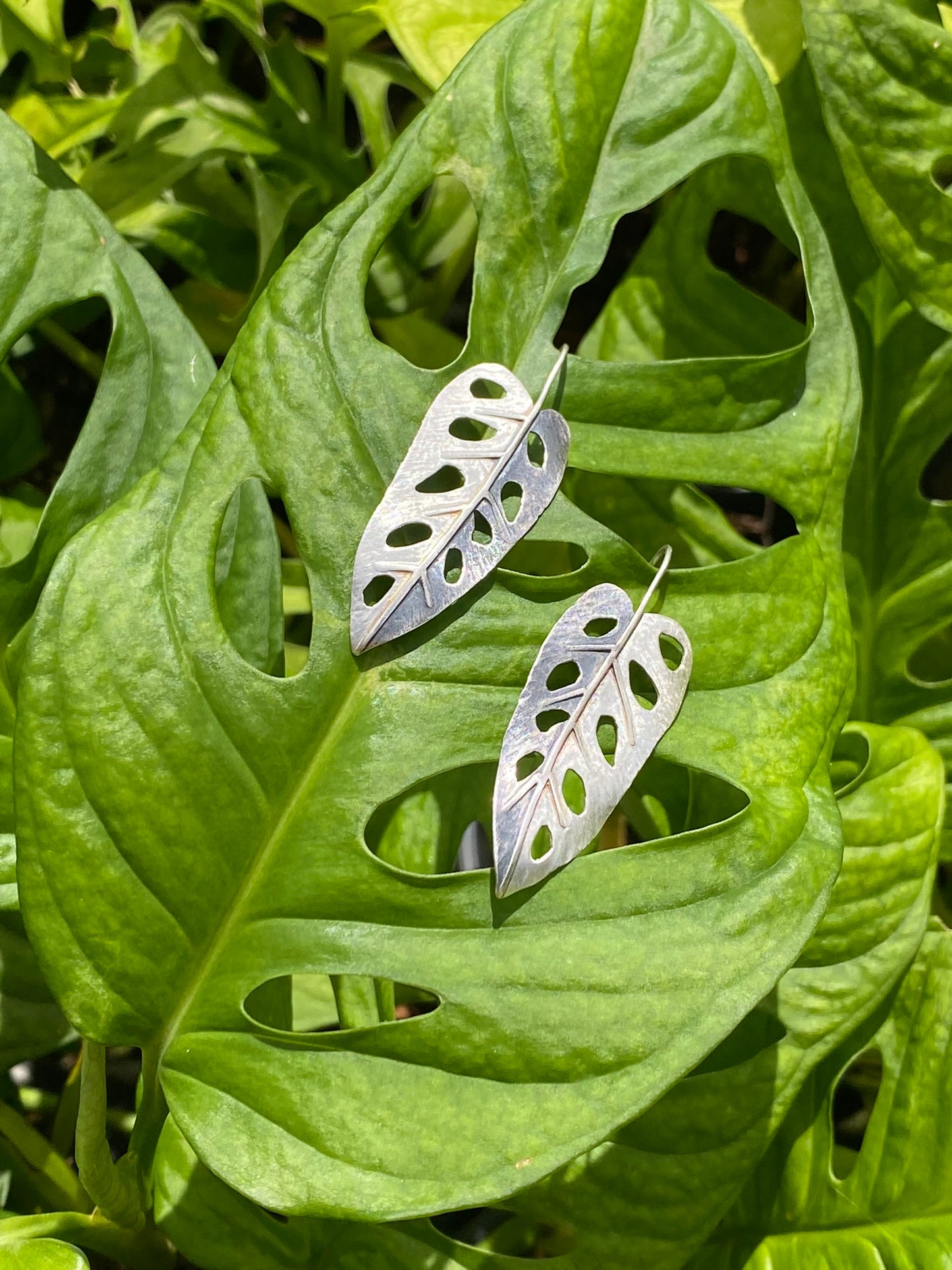 Monstera Adansonii Earrings